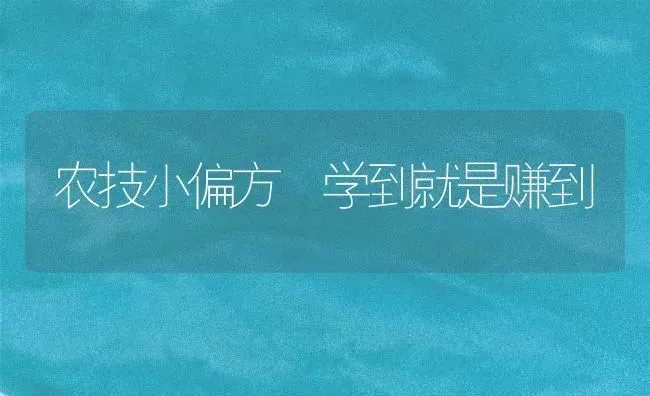 农技小偏方 学到就是赚到 | 养殖技术大全