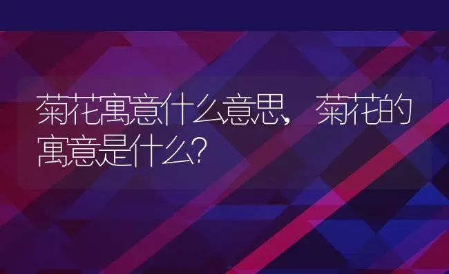 菊花寓意什么意思,菊花的寓意是什么？ | 养殖科普