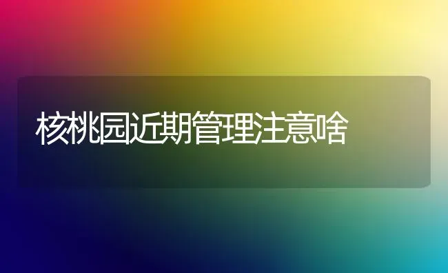 核桃园近期管理注意啥 | 养殖技术大全