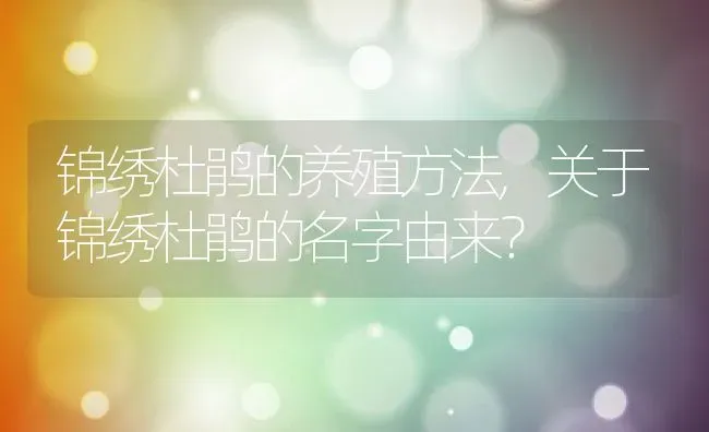 锦绣杜鹃的养殖方法,关于锦绣杜鹃的名字由来？ | 养殖科普