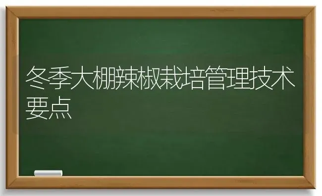 冬季大棚辣椒栽培管理技术要点 | 养殖知识