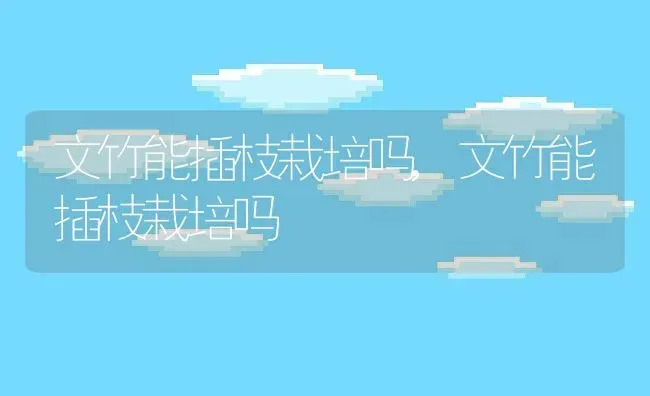 文竹能插枝栽培吗,文竹能插枝栽培吗 | 养殖科普