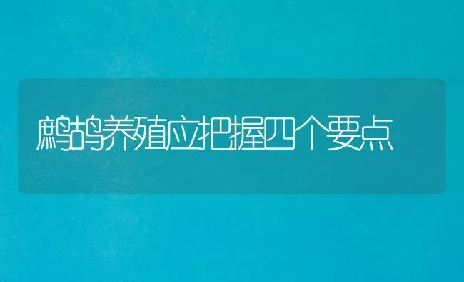 鹧鸪养殖应把握四个要点 | 养殖知识