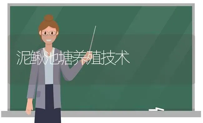 泥鳅池塘养殖技术 | 养殖知识