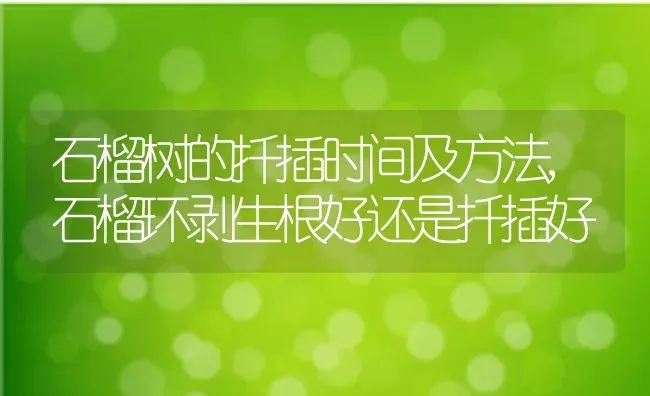 石榴树的扦插时间及方法,石榴环剥生根好还是扦插好 | 养殖学堂