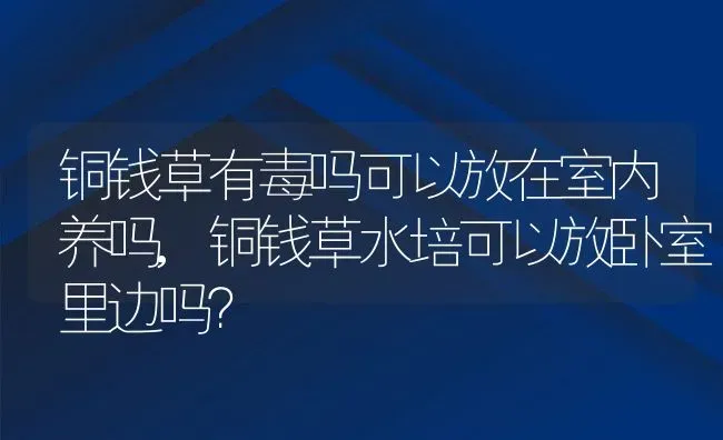 铜钱草有毒吗可以放在室内养吗,铜钱草水培可以放卧室里边吗？ | 养殖科普