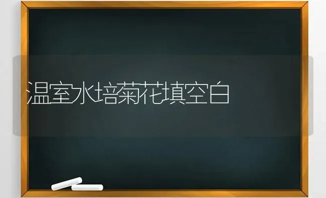 温室水培菊花填空白 | 养殖知识