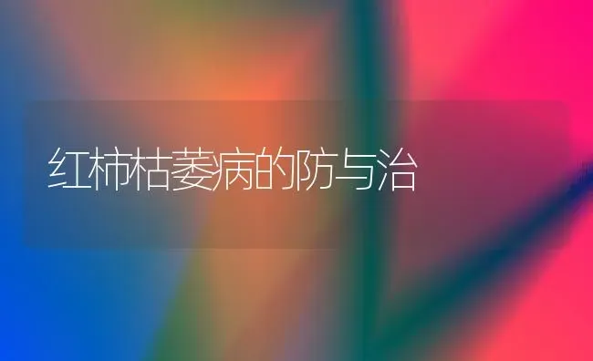 红柿枯萎病的防与治 | 养殖技术大全