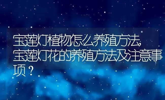 宝莲灯植物怎么养殖方法,宝莲灯花的养殖方法及注意事项？ | 养殖科普