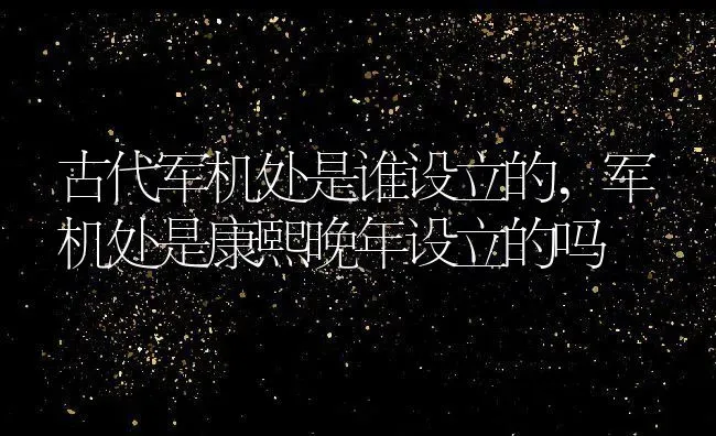 古代军机处是谁设立的,军机处是康熙晚年设立的吗 | 养殖学堂