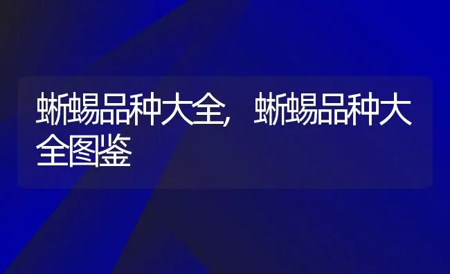 蜥蜴品种大全,蜥蜴品种大全图鉴 | 养殖资料