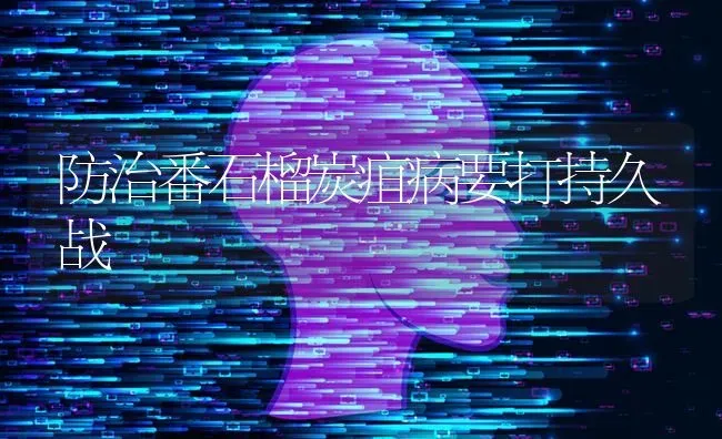 防治番石榴炭疽病要打持久战 | 养殖知识