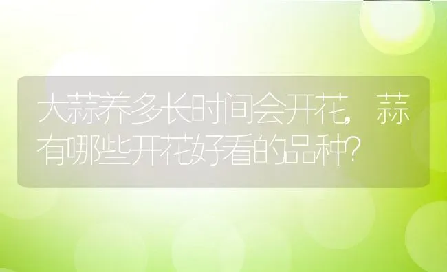 大蒜养多长时间会开花,蒜有哪些开花好看的品种？ | 养殖科普