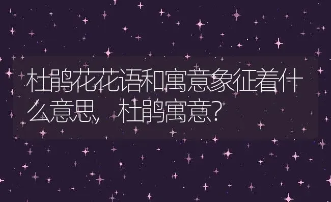 杜鹃花花语和寓意象征着什么意思,杜鹃寓意？ | 养殖科普