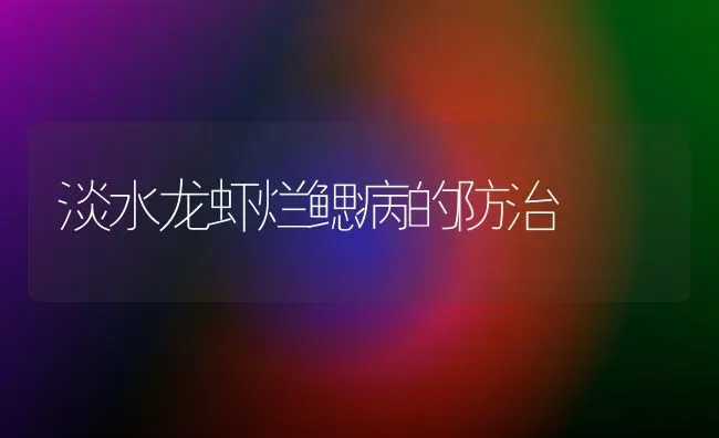 淡水龙虾烂鳃病的防治 | 养殖知识