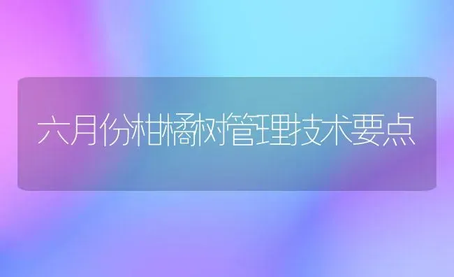 六月份柑橘树管理技术要点 | 养殖技术大全