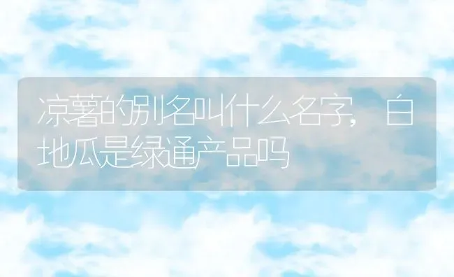 凉薯的别名叫什么名字,白地瓜是绿通产品吗 | 养殖学堂