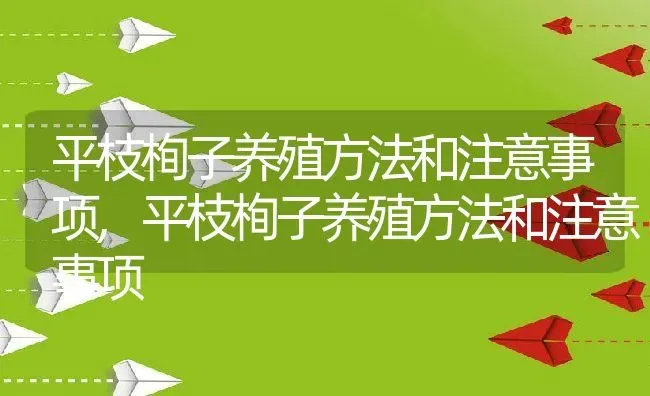 大叶榕施什么肥最好,榕树可以长期长在水里吗？ | 养殖科普