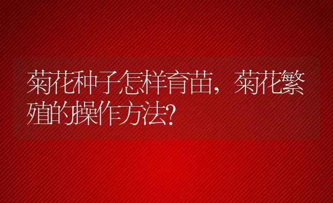 菊花种子怎样育苗,菊花繁殖的操作方法？ | 养殖科普