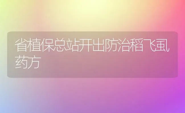 省植保总站开出防治稻飞虱药方 | 养殖技术大全