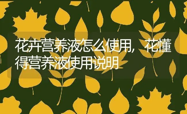 花卉营养液怎么使用,花懂得营养液使用说明 | 养殖学堂