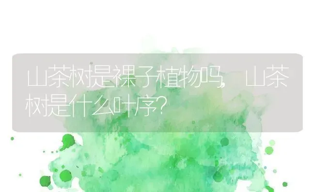 山茶树是裸子植物吗,山茶树是什么叶序？ | 养殖科普