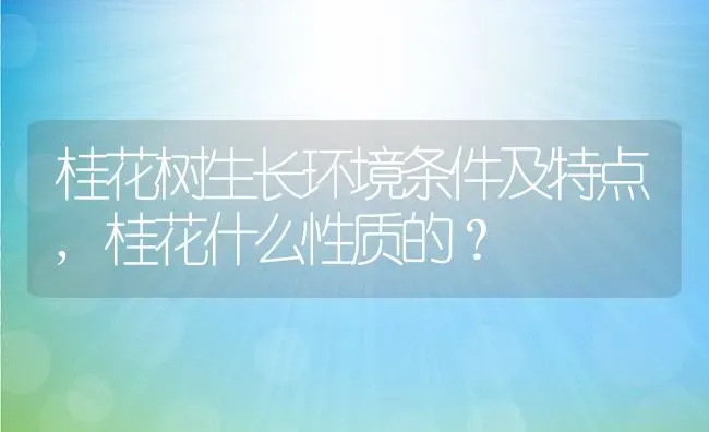 桂花树生长环境条件及特点,桂花什么性质的？ | 养殖科普