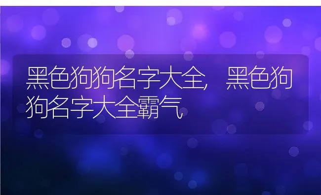 黑色狗狗名字大全,黑色狗狗名字大全霸气 | 养殖科普