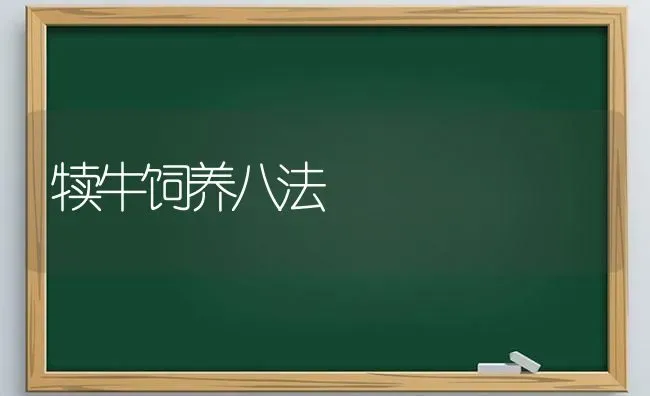 犊牛饲养八法 | 养殖知识