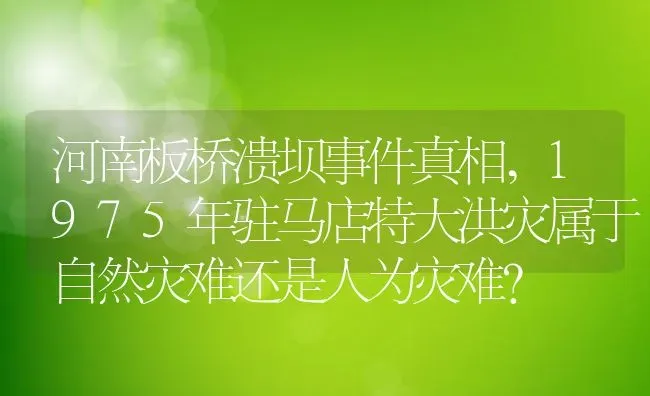 河南板桥溃坝事件真相,1975年驻马店特大洪灾属于自然灾难还是人为灾难？ | 养殖科普