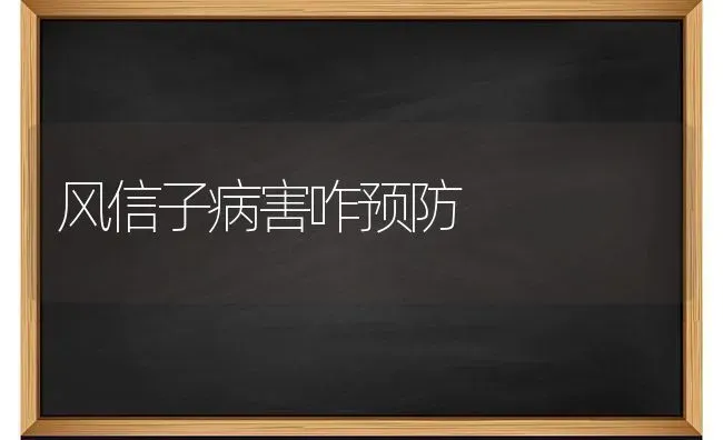 风信子病害咋预防 | 养殖知识