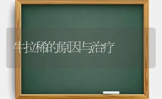 牛拉稀的原因与治疗 | 养殖技术大全