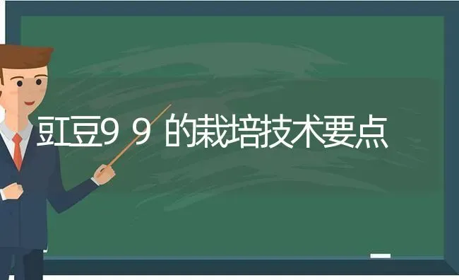 豇豆99的栽培技术要点 | 养殖技术大全