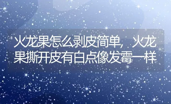 火龙果怎么剥皮简单,火龙果撕开皮有白点像发霉一样 | 养殖学堂