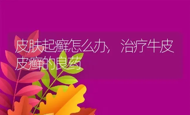 皮肤起癣怎么办,治疗牛皮皮癣的良药 | 养殖科普