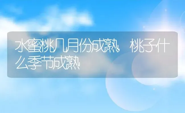 水蜜桃几月份成熟,桃子什么季节成熟 | 养殖学堂