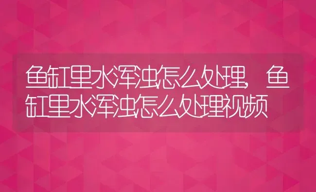 鱼缸里水浑浊怎么处理,鱼缸里水浑浊怎么处理视频 | 养殖科普