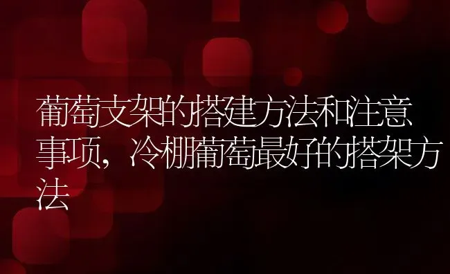 葡萄支架的搭建方法和注意事项,冷棚葡萄最好的搭架方法 | 养殖学堂