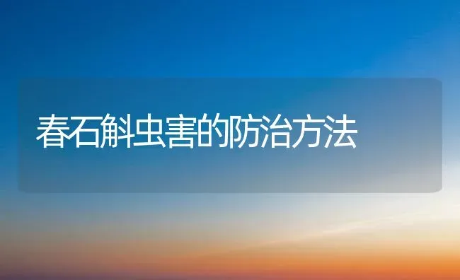 春石斛虫害的防治方法 | 养殖知识