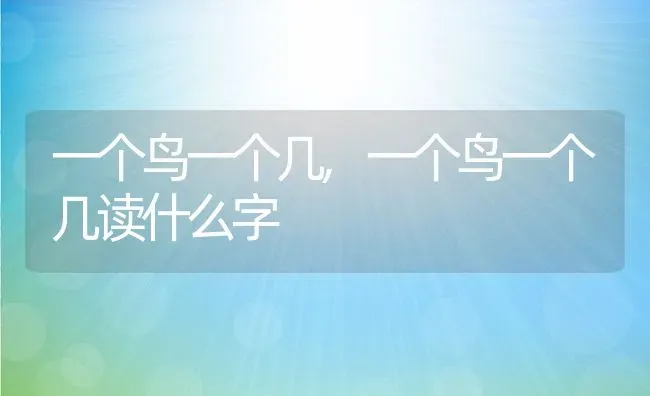 一个鸟一个几,一个鸟一个几读什么字 | 养殖科普