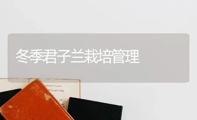 冬季君子兰栽培管理 | 养殖知识