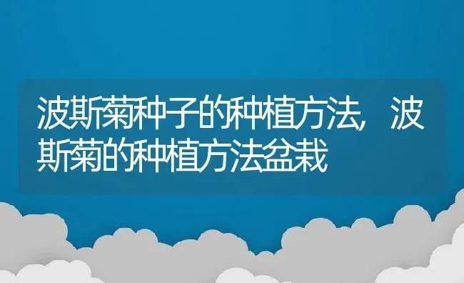 波斯菊种子的种植方法,波斯菊的种植方法盆栽 | 养殖学堂