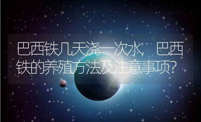 巴西铁几天浇一次水,巴西铁的养殖方法及注意事项？ | 养殖学堂