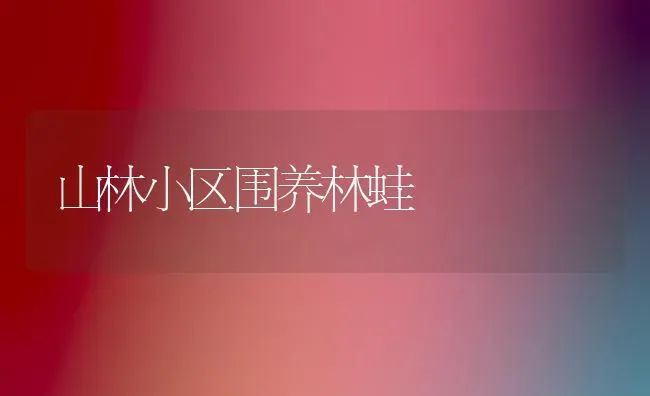 山林小区围养林蛙 | 养殖技术大全