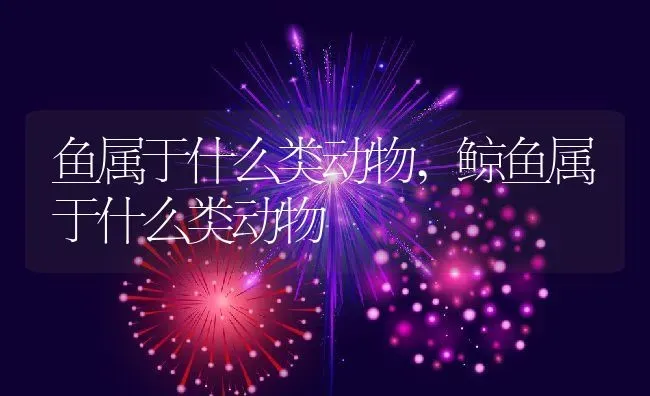 鱼属于什么类动物,鲸鱼属于什么类动物 | 养殖学堂