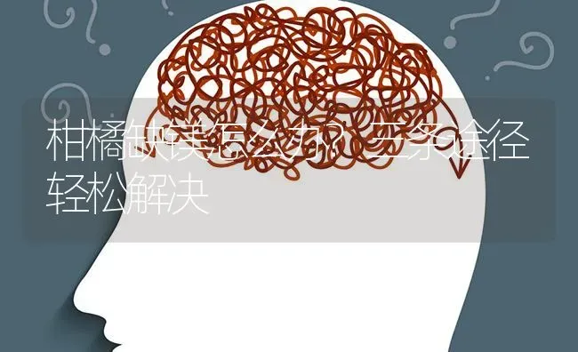 柑橘缺镁怎么办?三条途径轻松解决 | 养殖技术大全