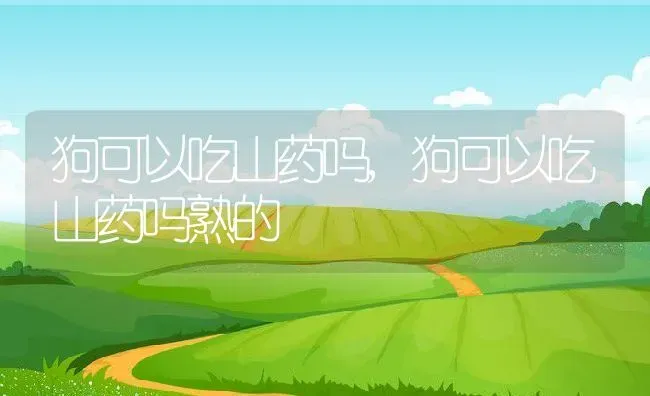 狗可以吃山药吗,狗可以吃山药吗熟的 | 养殖资料