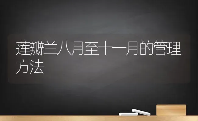 莲瓣兰八月至十一月的管理方法 | 养殖技术大全