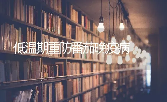 低温期重防番茄晚疫病 | 养殖知识