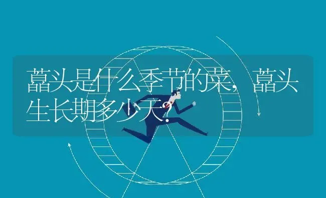 藠头是什么季节的菜,藠头生长期多少天？ | 养殖科普